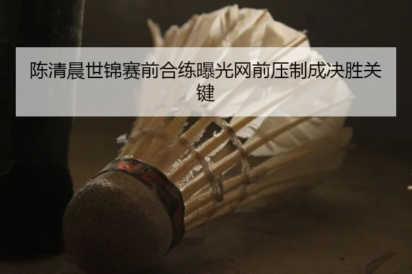 陈清晨世锦赛前合练曝光网前压制成决胜关键